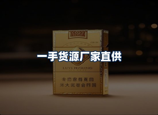 专业团队办公环境